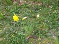 20210325_151037-min