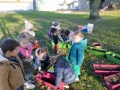 IMG20201123153116
