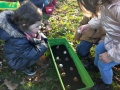 IMG20201123153757