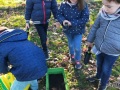 IMG20201123155223