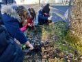 IMG20201123155814